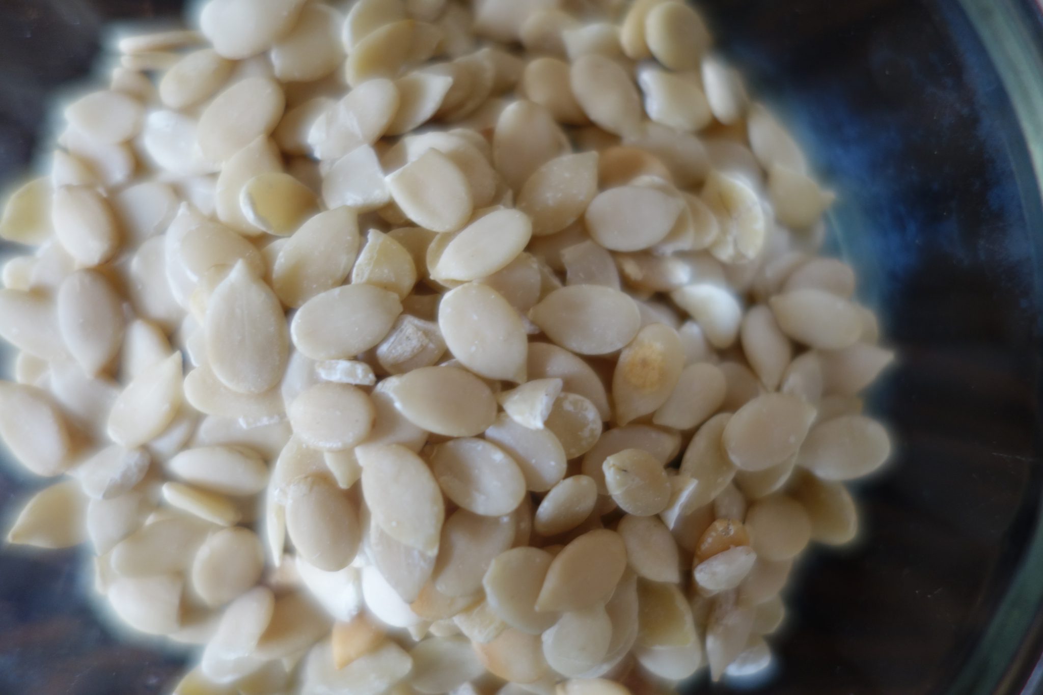 muskmelon seeds